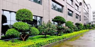 朔州市雅欣园林绿化工程有限公司